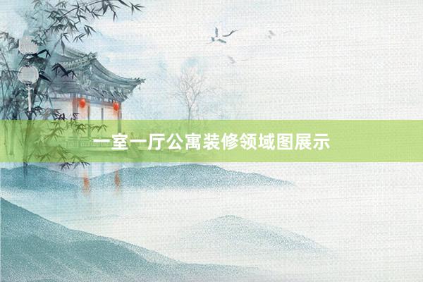 一室一厅公寓装修领域图展示