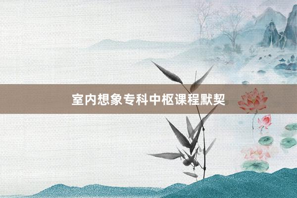 室内想象专科中枢课程默契