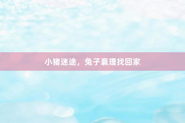 小猪迷途，兔子襄理找回家